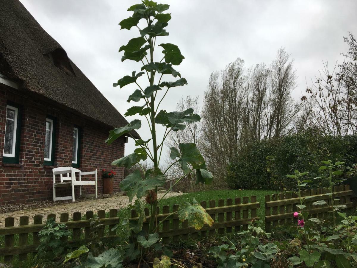 Reetdachhaus Moordeichperle Villa Nordstrand Exterior foto